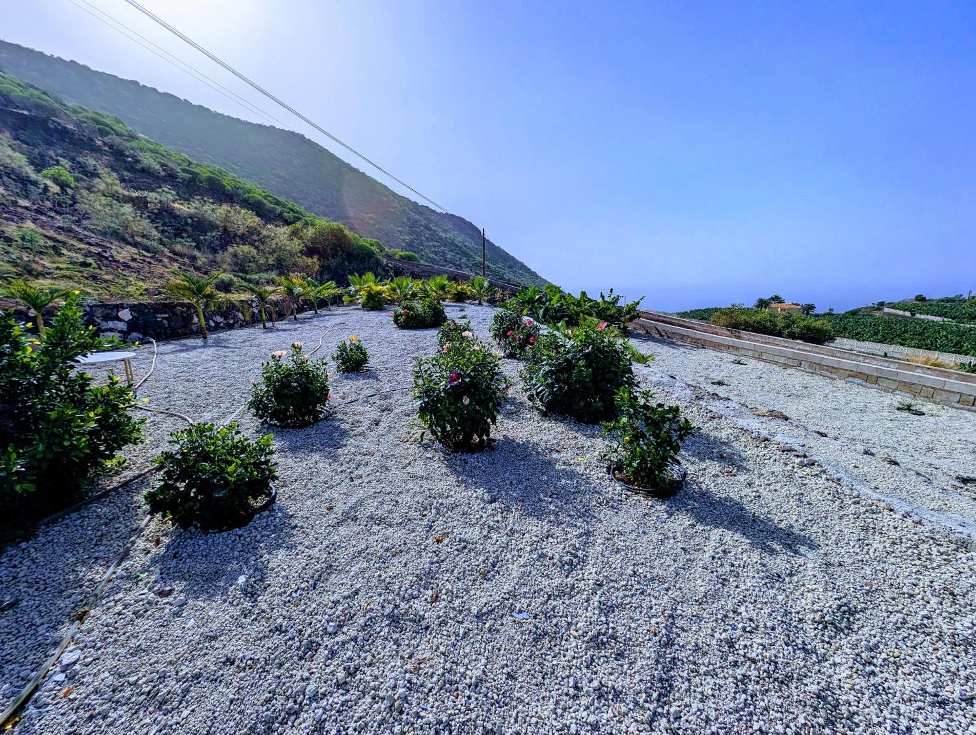 Sea La Vie Apartment - Adults Only Santiago del Teide Buitenkant foto